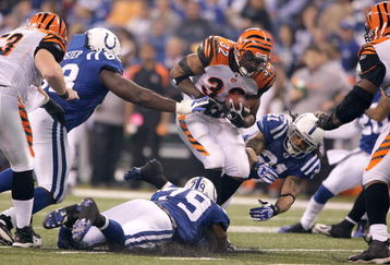 INDIANAPOLIS - DECEMBER 07:  Cedric Benson #32 of the Cincinnati Bengals runs the ball against Bob Sanders #21 and Raheem Brock #79 of the Indianapolis Colts at Lucas Oil Stadium on December 7, 2008 in Indianapolis, Indiana.  (Photo by Andy Lyons/Getty Images)