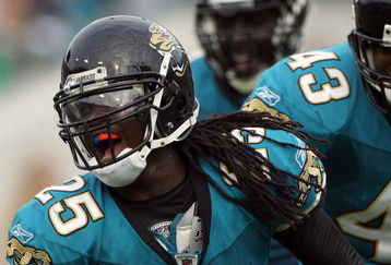 JACKSONVILLE, FL - DECEMBER 14:  Reggie Nelson #25 of the Jacksonville Jaguars celebrates after making an interception during the game against the Green Bay Packers at Jacksonville Municipal stadium on December 14, 2008 in Jacksonville, Florida.  (Photo by Sam Greenwood/Getty Images)