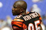 Chad-ochocinco-bengals-twitter_more_feature