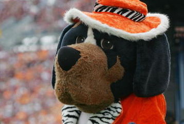 DALLAS - JANUARY 1:  The Tennessee Volunteers mascot stands on the sideline during the game against the Texas A&M Aggies in the SBC Cotton Bowl on January 1, 2005 at the Cotton Bowl in Dallas, Texas.  Tennessee defeated Texas A&M 38-7.  (Photo by Ronald Martinez/Getty Images)