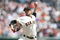 SAN FRANCISCO - MAY 11:  Jonathan Sanchez #53 of the San Francisco Giants pitches against the Philadelphia Phillies on May 11, 2008 at AT&T Park in San Francisco, California. (Photo by Jed Jacobsohn/Getty Images)