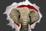 Rtb_profile_page_crop_150x100