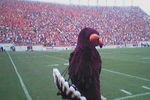 Hokie_bird_edited_crop_150x100