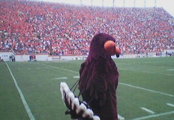 Hokie_bird_edited_crop_340x234