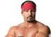 Lg_wwe_logo732114_medium