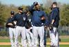 Yankees-spring-training_crop_100x68