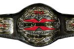 Tna_x_division_championship_200_crop_150x100