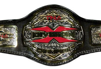 Tna_x_division_championship_200_crop_340x234