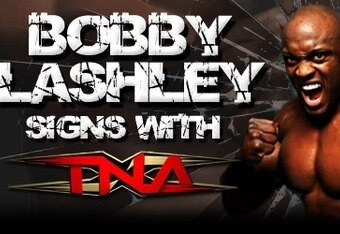 Lashley4_crop_340x234