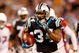 CHARLOTTE, NC - JANUARY 10: Running back DeAngelo Williams #34 of the Carolina Panthers runs the ball against the Arizona Cardinals during the first quarter of the NFC Divisional Playoff Game on January 10, 2009 at Bank of America Stadium in Charlotte, North Carolina. (Photo by Streeter Lecka/Getty Images)
