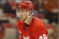 DETROIT - SEPTEMBER 26:  Jakub Kindl #46 of the Detroit Red Wings skates in a pre-season game against the Boston Bruins on September 26, 2008 at the Joe Louis Arena in Detroit, Michigan. The Bruins defeated the Red Wings 2-1. (Photo by Claus Andersen/Getty Images)