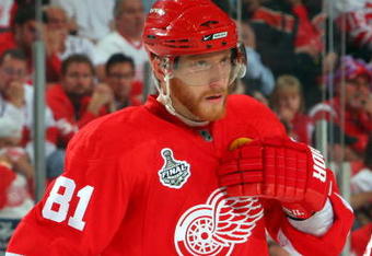 DETROIT - JUNE 12:  Marian Hossa #81 of the Detroit Red Wings look on during Game Seven of the 2009 NHL Stanley Cup Finals at Joe Louis Arena on June 12, 2009 in Detroit, Michigan.  (Photo by Jim McIsaac/Getty Images)