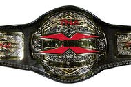 Tna_x_division_championship_200_crop_190x127