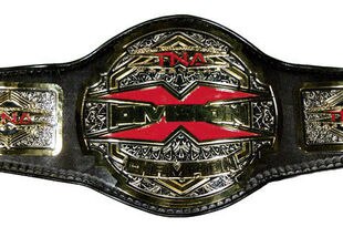 Tna_x_division_championship_200_crop_310x205