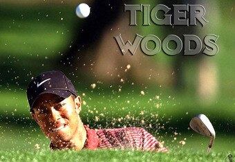 Tiger-woods-golf-wallpaper_crop_340x234