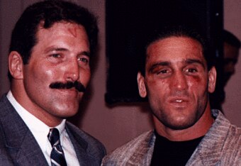 Dansevern_crop_340x234