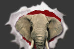 Rtb_profile_page_crop_150x100