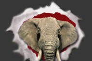 Rtb_profile_page_crop_190x127