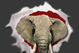 Rtb_profile_page_medium