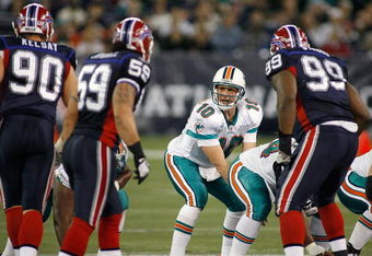 TORONTO, ON - DECEMBER 07:  Chad Pennington #10 of the Miami Dolphins calls signals as Chris Kelsay #90, Kawika Mitchell #59 and Marcus Stroud #99 of the Buffalo Bills line up on December 7, 2008  at Rogers Centre in Toronto, Ontario, Canada. The Dolphins won 16-3.  (Photo by Rick Stewart/Getty Images)