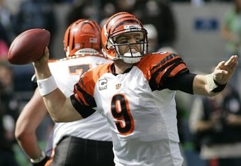 Carson-palmer_crop_340x234
