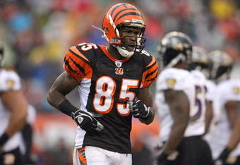 CINCINNATI - NOVEMBER 30:  Chad Johnson #85 of the Cincinnati Bengals jogs on the field during their NFL game against the Baltimore Ravens on November 30, 2008 at Paul Brown Stadium in Cincinnati, Ohio. The Ravens defeated the Bengals 34-3.(Photo by Andy Lyons/Getty Images)