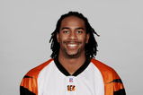 CINCINNATI - 2007:  Jesse Holley of the Cincinnati Bengals poses for his 2007 NFL headshot at photo day in Cincinnati, Ohio.  (Photo by Getty Images)