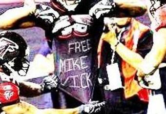Vick3_crop_340x234
