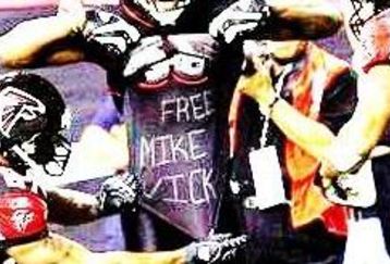 Vick3_feature