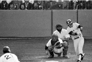 Bucky_dent_feature