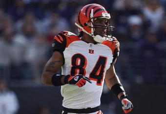 BALTIMORE - NOVEMBER 5:  T.J. Houshmanzadeh #84 of the Cincinnati Bengals runs during the game against the Baltimore Ravens at M&T Bank Stadium on November 5, 2006 in Baltimore, Maryland.  The Ravens defeated the Bengals 26-20. (Photo by Harry How/Getty Images)
