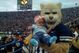 Byu_medium