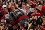 TUSCALOOSA, AL - NOVEMBER 29:  Mascot Big Al of the Alabama Crimson Tide crowd surfs from the field to the upper deck while taking on the Auburn Tigers at Bryant-Denny Stadium on November 29, 2008 in Tuscaloosa, Alabama. Alabama defeated Auburn 36-0.  (Photo by Doug Benc/Getty Images)
