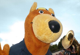 Zippy_crop_340x234