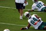 DAVIE, FL - MAY 02:  Head coach Tony Sparano of the Miami Dolphins watches his team during mini camp on May 2, 2009 at the Miami Dolphins Training facility in Davie, Florida.  (Photo by Marc Serota/Getty Images)