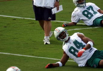 DAVIE, FL - MAY 02:  Head coach Tony Sparano of the Miami Dolphins watches his team during mini camp on May 2, 2009 at the Miami Dolphins Training facility in Davie, Florida.  (Photo by Marc Serota/Getty Images)