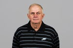 PHILADELPHIA - 2006:  Jim Johnson of the Philadelphia Eagles poses for his 2006 NFL headshot at photo day in Philadelphia, Pennsylvania. (Photo by Getty Images) 