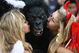 HONG KONG, CHINA - MARCH 28:  Rugby fans kiss a fellow spectator wearing a gorilla mask during the Hong Kong Rugby Sevens 2008 on March 28, 2008 in Hong Kong, China.   (Photo by MN Chan/Getty Images)