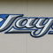 DUNEDIN, FL- MARCH 1:  A general view of the new Toronto Blue Jays logo taken during Photo Day at their spring training facility on March 1, 2004 in Duneiden, Florida . (Photo by Jed Jacobsohn/Getty Images)