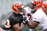 CINCINNATI, OH - MAY 1:  Cincinnati Bengals first round draft pick Andre Smith #71, right, battles withthird round draft pick Michael Johnson #93 during rookie minicamp at Paul Brown Stadium on May 1, 2009 in Cincinnati, Ohio.  (Photo by Mark Lyons/Getty Images)