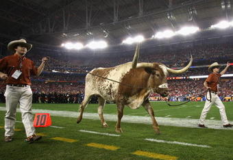 GLENDALE, AZ - JANUARY 05:  The Texas Longhorns mascot 'Bevo' is walked onto the field before the Tostitos Fiesta Bowl Game against the Ohio State Buckeyes on January 5, 2009 at University of Phoenix Stadium in Glendale, Arizona.  (Photo by Jed Jacobsohn/Getty Images)
