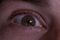 Eye_small