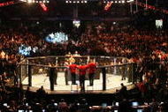 CHICAGO- OCTOBER 25:  People attend the UFC 90 at UFC's Ultimate Fight Night at Allstate Arena on October 25, 2008 in Chicago, Illinois. (Photo by Tasos Katopodis/Getty Images)
