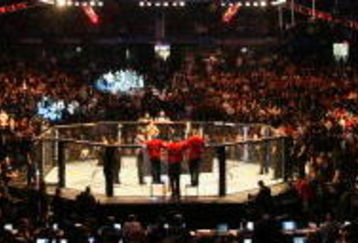 CHICAGO- OCTOBER 25:  People attend the UFC 90 at UFC's Ultimate Fight Night at Allstate Arena on October 25, 2008 in Chicago, Illinois. (Photo by Tasos Katopodis/Getty Images)