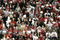 RALEIGH, NC - JUNE 14:  Fans of the Carolina Hurricanes cheer during game five of the 2006 NHL Stanley Cup Finals against the Edmonton Oilers on June 14, 2006 at the RBC Center in Raleigh, North Carolina.  (Photo by Bruce Bennett/Getty Images)