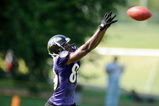 WESTMINSTER, MD - JULY 28:  Mark Clayton #89 of the Baltimore Ravens catches a pass during training camp at McDaniel College on July 28, 2009 in Westminster, Maryland.  (Photo by Greg Fiume/Getty Images)