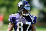 WESTMINSTER, MD - JULY 28:  Demetrius Williams #87 of the Baltimore Ravens walks back to the huddle during training camp at McDaniel College on July 28, 2009 in Westminster, Maryland.  (Photo by Greg Fiume/Getty Images)
