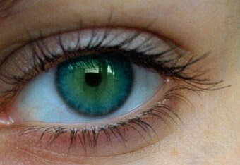 Eye1_crop_340x234