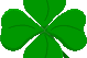 Four-leaf-clover_medium