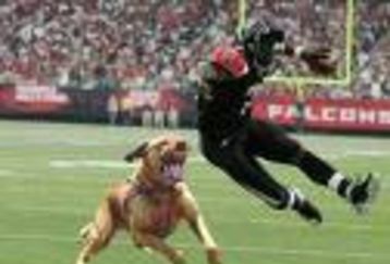 Vick2_feature